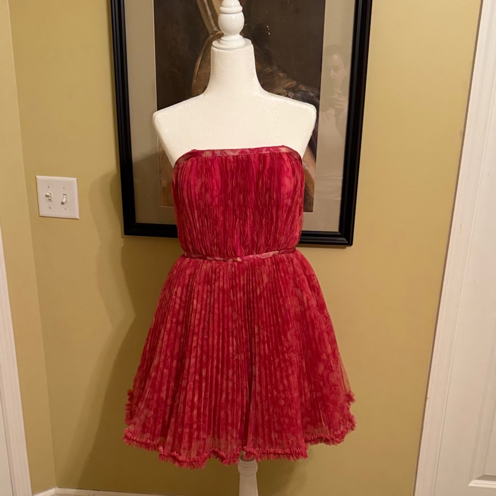 Hutch Ruby Strapless Pleated Dress